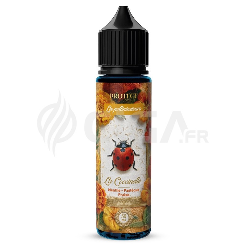 La Coccinelle - Protect