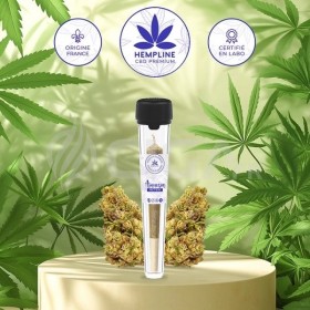 Amnesia Pre-roll (1g) - Hempline