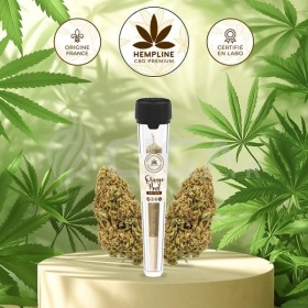 Orange Buds Pre-roll (1g) - Hempline