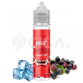 Freeze Ice Juneberry 50ml - Liquideo