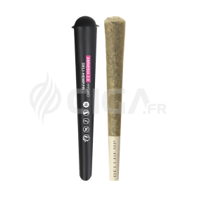 PRÉ ROLL - AMNESIA 2.0 - CBD