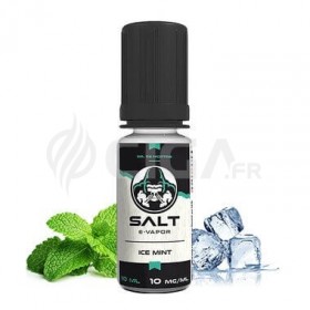 Ice Mint  - Salt E-Vapor