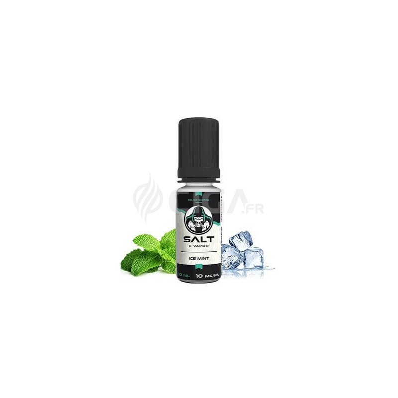 Ice Mint  - Salt E-Vapor