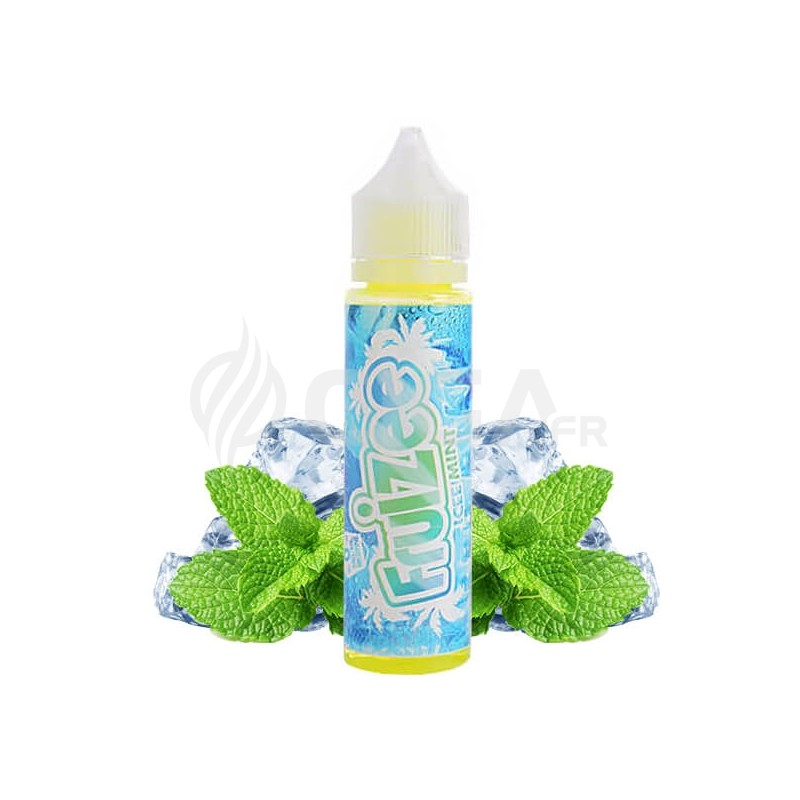 Icee Mint 50ml - Fruizee