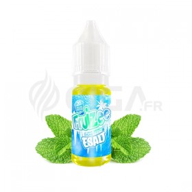 Icee Mint Sel de nicotine - Fruizee Esalt