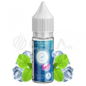 Menthe Polaire Sels de nicotine - Liquidarom