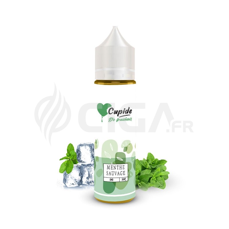 Menthe Sauvage 50ml - Cupide