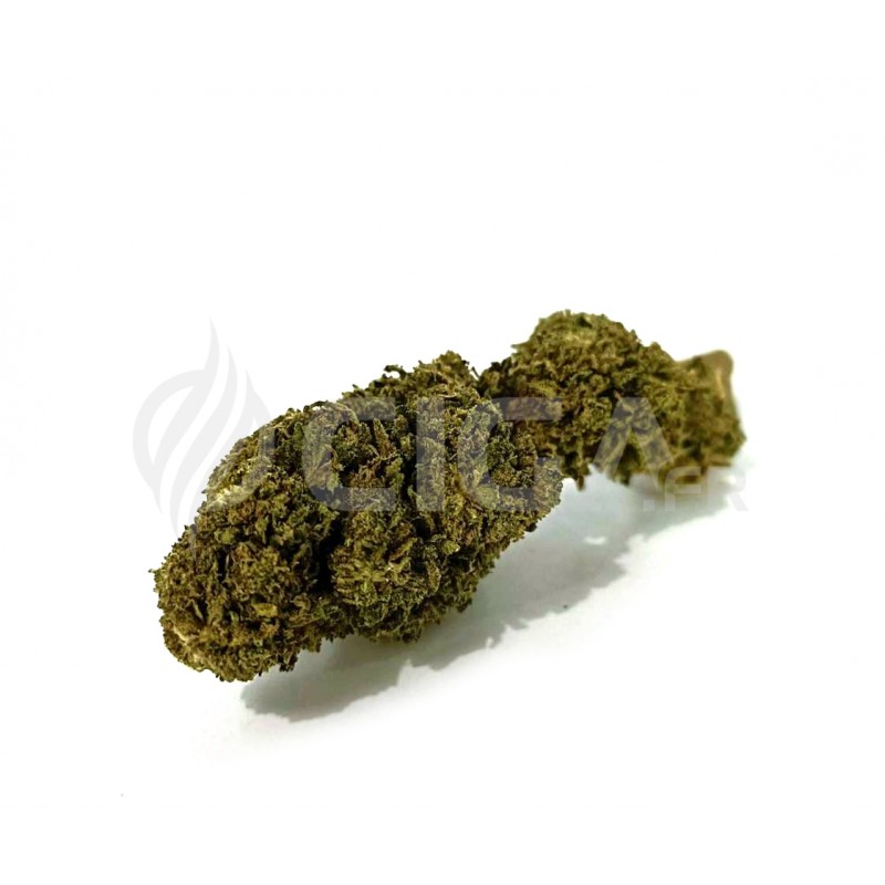 Amnesia - Fleurs de CBD Greenhouse