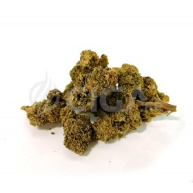 Amnesia - Fleurs de CBD Greenhouse