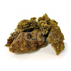 Watermelon - Fleurs de CBD Greenhouse