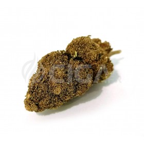 Watermelon - Fleurs de CBD Greenhouse