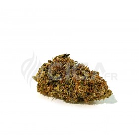 Godfather OG - Fleurs de CBD Indoor