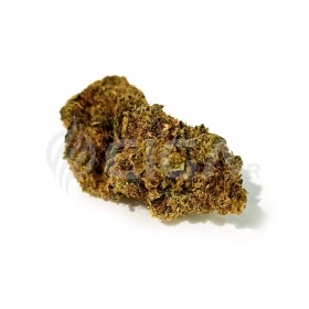Moby Dick - Fleurs de CBD Indoor
