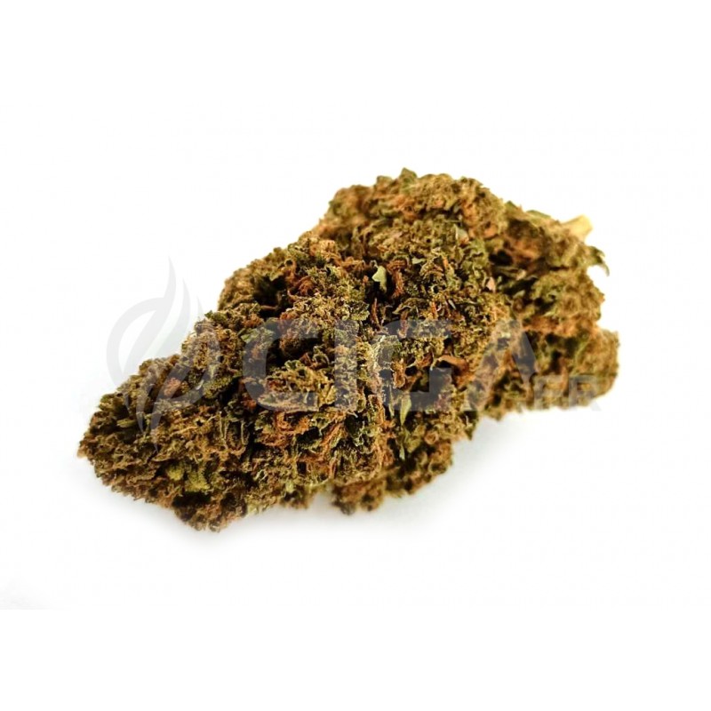 Pink Panther - Fleurs de CBD Greenhouse
