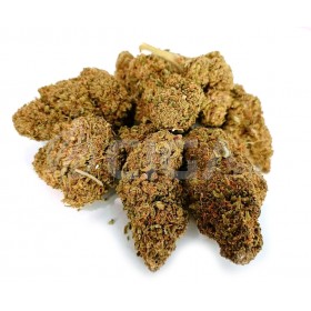 Pink Panther - Fleurs de CBD Greenhouse