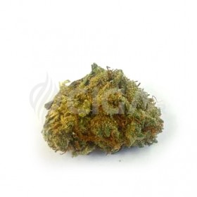 Popcorn Orange Bud - Fleurs de CBD Small Buds Indoor