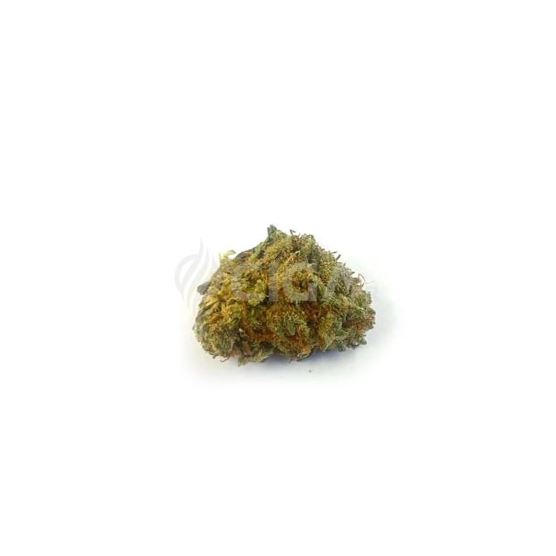 Popcorn Orange Bud - Fleurs de CBD Small Buds Indoor