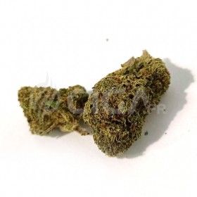 Popcorn Strawberry - Fleurs de CBD Small Buds Indoor