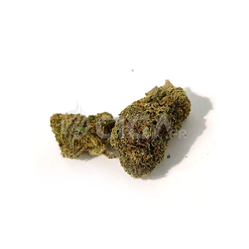 Popcorn Strawberry - Fleurs de CBD Small Buds Indoor