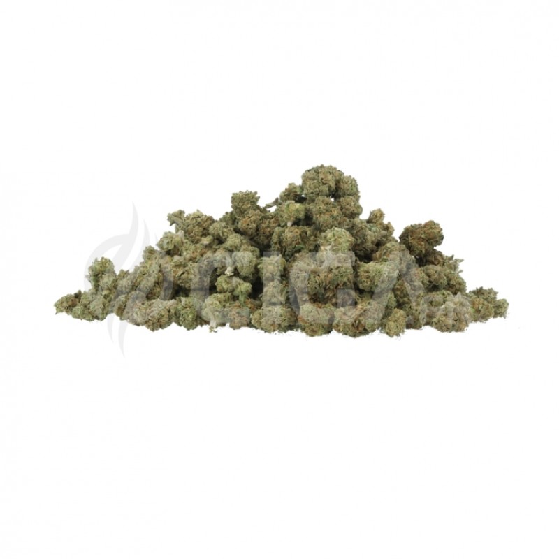 Popcorn Orangello 11 Fleurs de CBD Small Buds Indoor