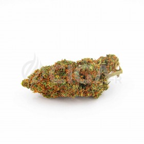 FLEUR CBD - ORANGE BUD - SMALL BUD INDOOR