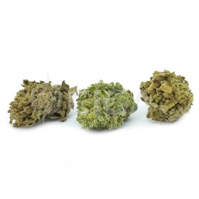 FLEUR CBD - TUTTI FRUITTI - SMALL BUD INDOOR