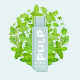 Cartouche Menthe Verte - Pod Flip by Pulp