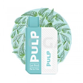 Starter Kit - Menthe Polaire - Pod Flip by Pulp