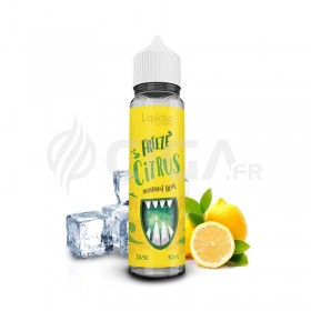 Freeze Citrus 50ml - Liquideo