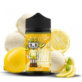 Sorbet Citron 200ml - BIG FUEL de Maison Fuel