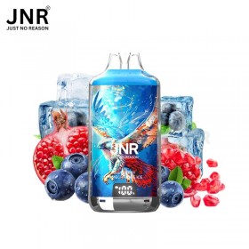 Blueberry Pomegranate Ice Falcon-X 28k - JNR