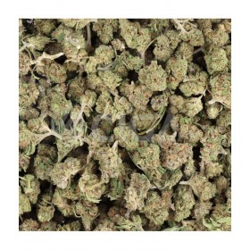 FLEUR CBD - BLUEBERRY SMALL BUD - HYDROPONIE