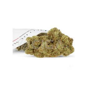 FLEUR CBD - LIFTER US SMALL BUD - HYDROPONIE