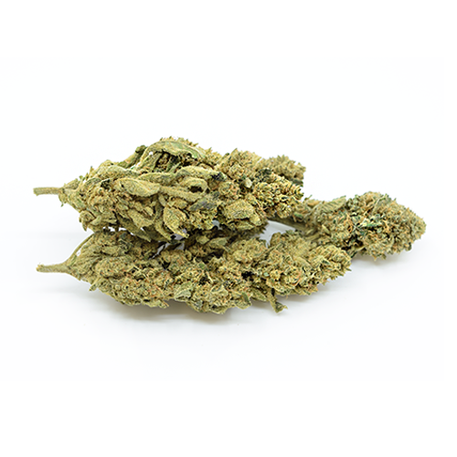 Fleur de CBD Greenhouse Amnesia.