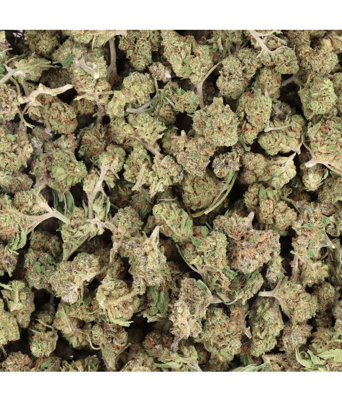 FLEUR CBD - BLUEBERRY SMALL BUD - HYDROPONIE - Deli Hemp