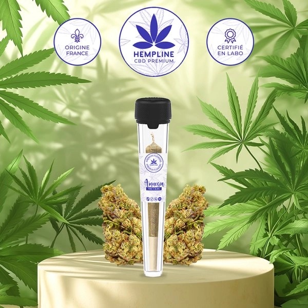 Amnesia Pre-roll (1g) Hempline