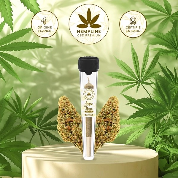 Lemon Haze Pre-roll (1g) Hempline