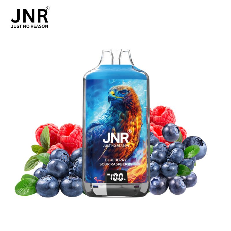 Blueberry Sour Raspberry Falcon-X 28000 - JNR