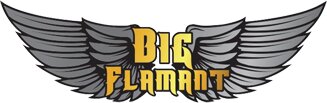 Logo de la marque Big Flamant.