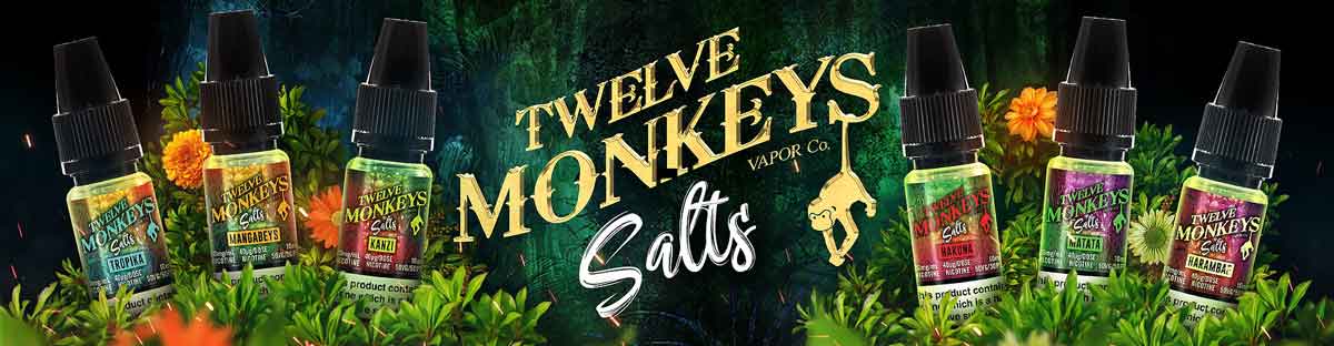Bannière de la gamme Salt des e-liquides Twelve Monkeys Sel de Nicotine.